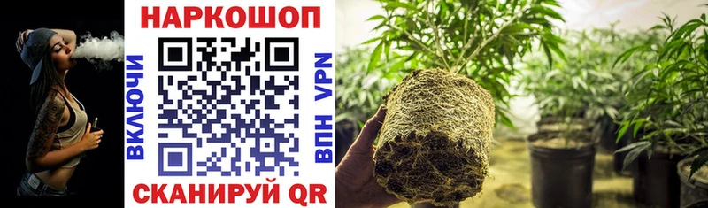 Купить закладку COCAIN  Меф мяу мяу  СОЛЬ  МАРИХУАНА  ГАШИШ  Белая Калитва