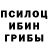 Галлюциногенные грибы мицелий Killerworld YT