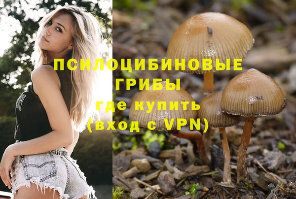 ПСИЛОЦИБИНОВЫЕ ГРИБЫ Тында