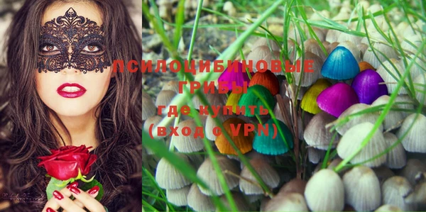 PSILOCYBIN Балахна