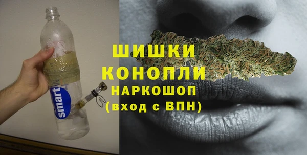 шишки Тутаев